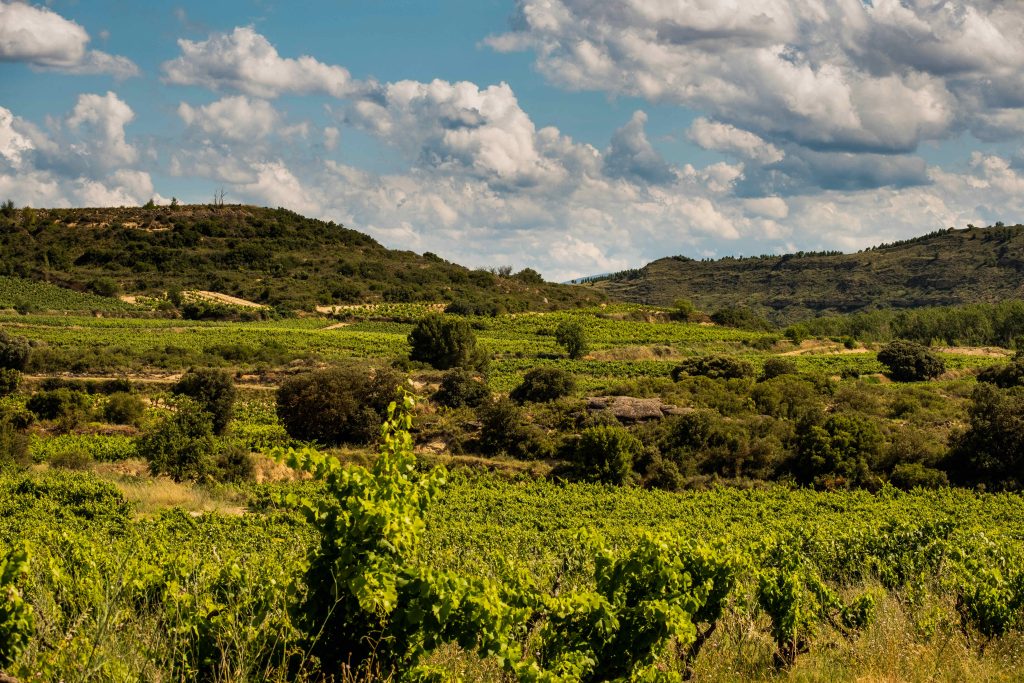 %Errioxa tienda de vinos en figueres% tierra y hombre