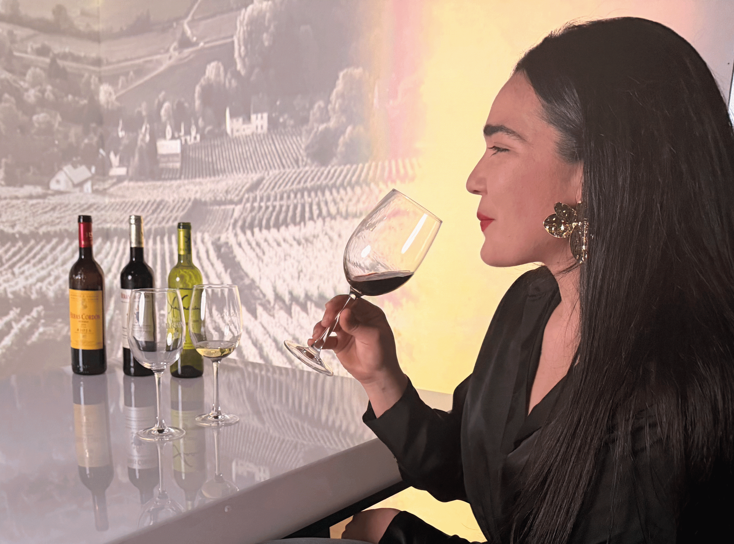 cata de vinos del vaticano en figueres scaled