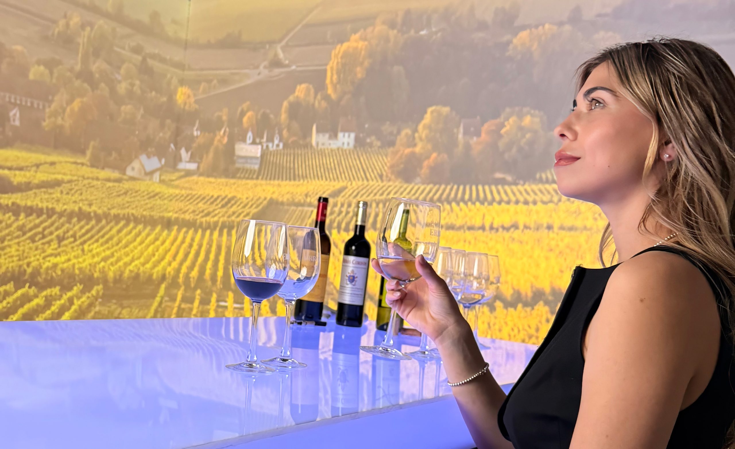 cata-de-vinos-inmersiva-en-figueres