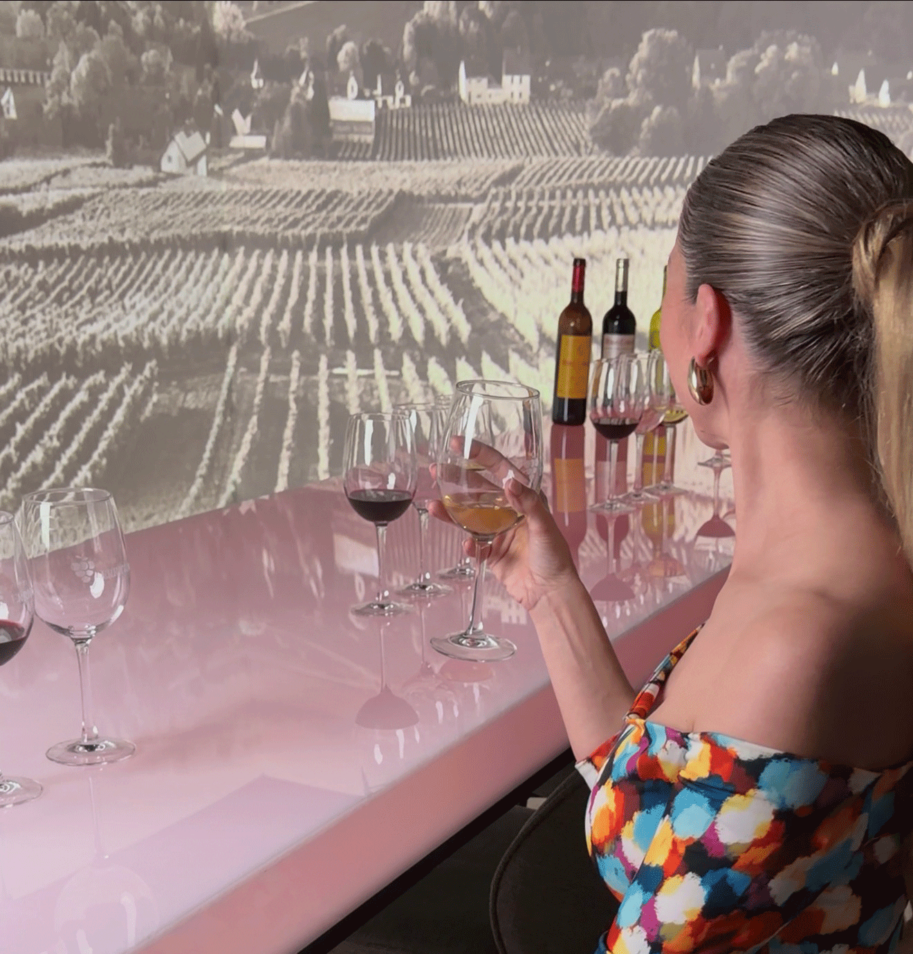 cata sensorial en figueres con vinos